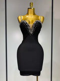 Celebrity Evening Club Elegant Mini Dress
